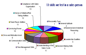 13 skills we test in a sales person.